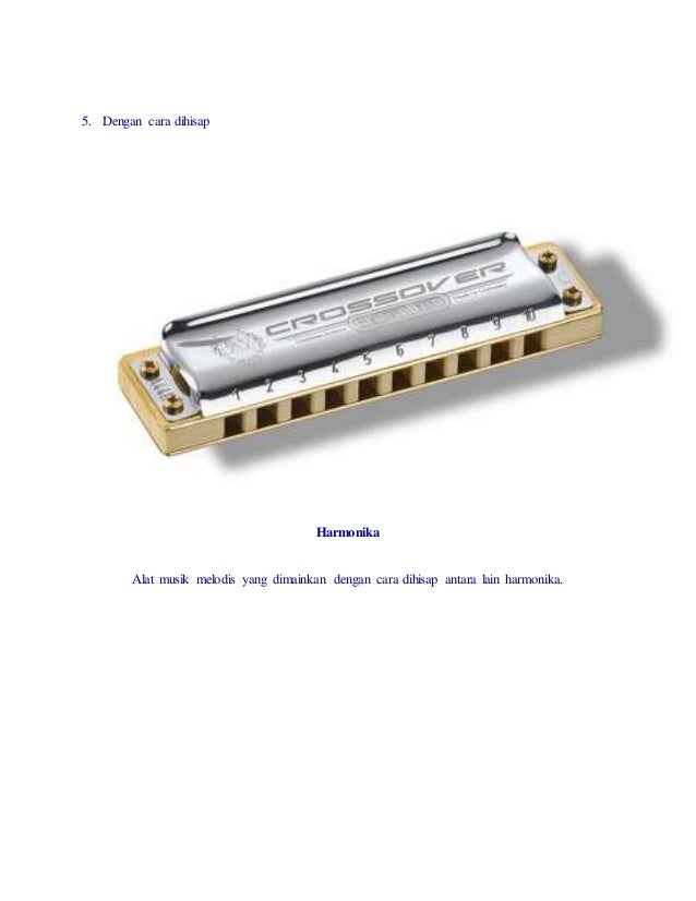 Alat Musik Melodis Dan Ritmis