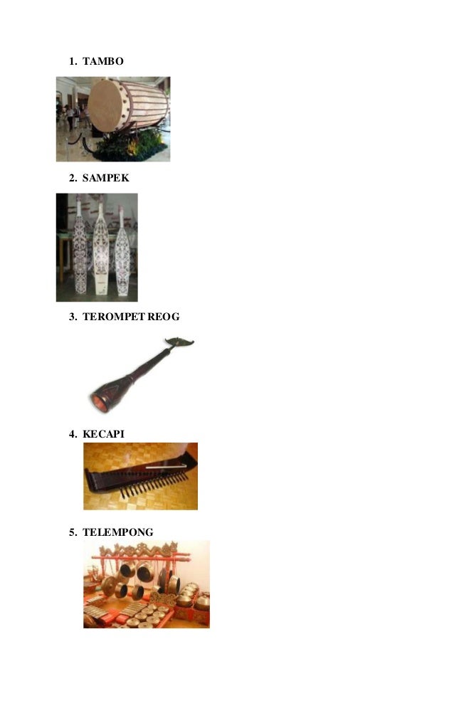 Alat musik tradisional
