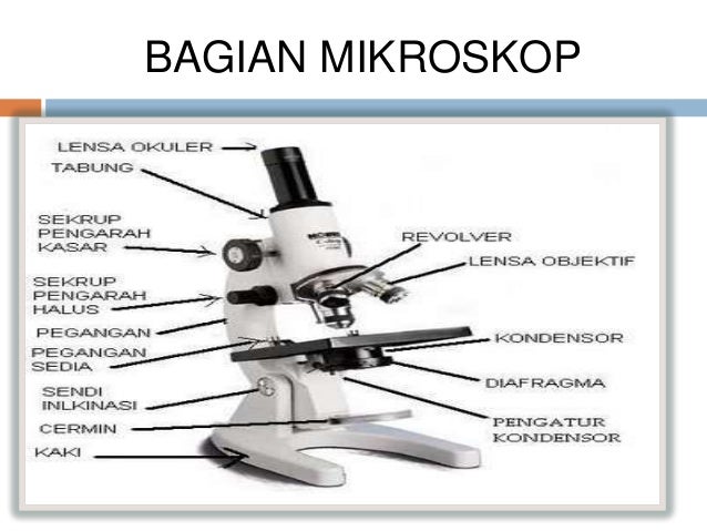 Alatoptik 130214034646phpapp02