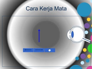 Cara Kerja Mata

 