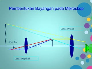 Pembentukan Bayangan pada Mikroskop

Lensa Okuler

2Fob Fob
Fob 2Fob Fok

Lensa Obyektif

 