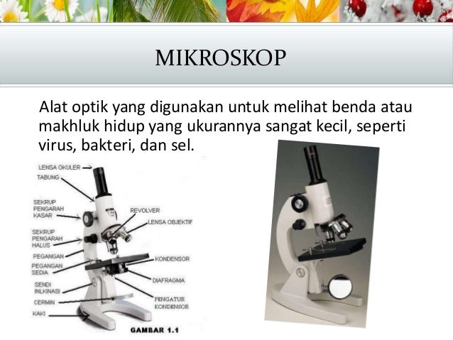 Alat Optik Materi Kelas 8 Alat Optik Materi Kelas 8