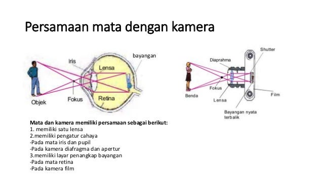 Alat optik