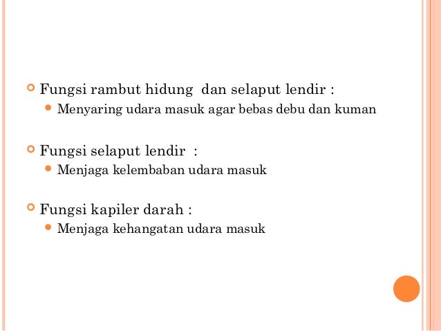 Alat pernafasan manusia