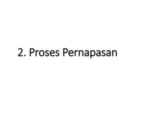 2. Proses Pernapasan
 