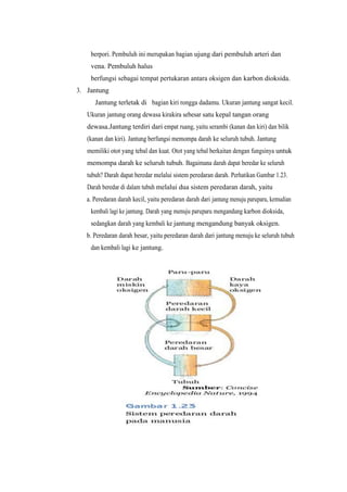 berpori. Pembuluh ini merupakan bagian ujung dari pembuluh arteri dan
    vena. Pembuluh halus
    berfungsi sebagai tempa...