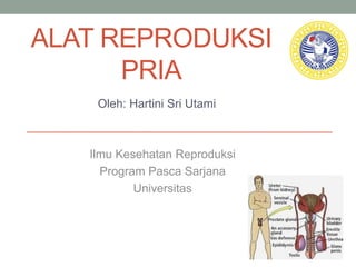 ALAT REPRODUKSI
PRIA
Oleh: Hartini Sri Utami
Ilmu Kesehatan Reproduksi
Program Pasca Sarjana
Universitas
 
