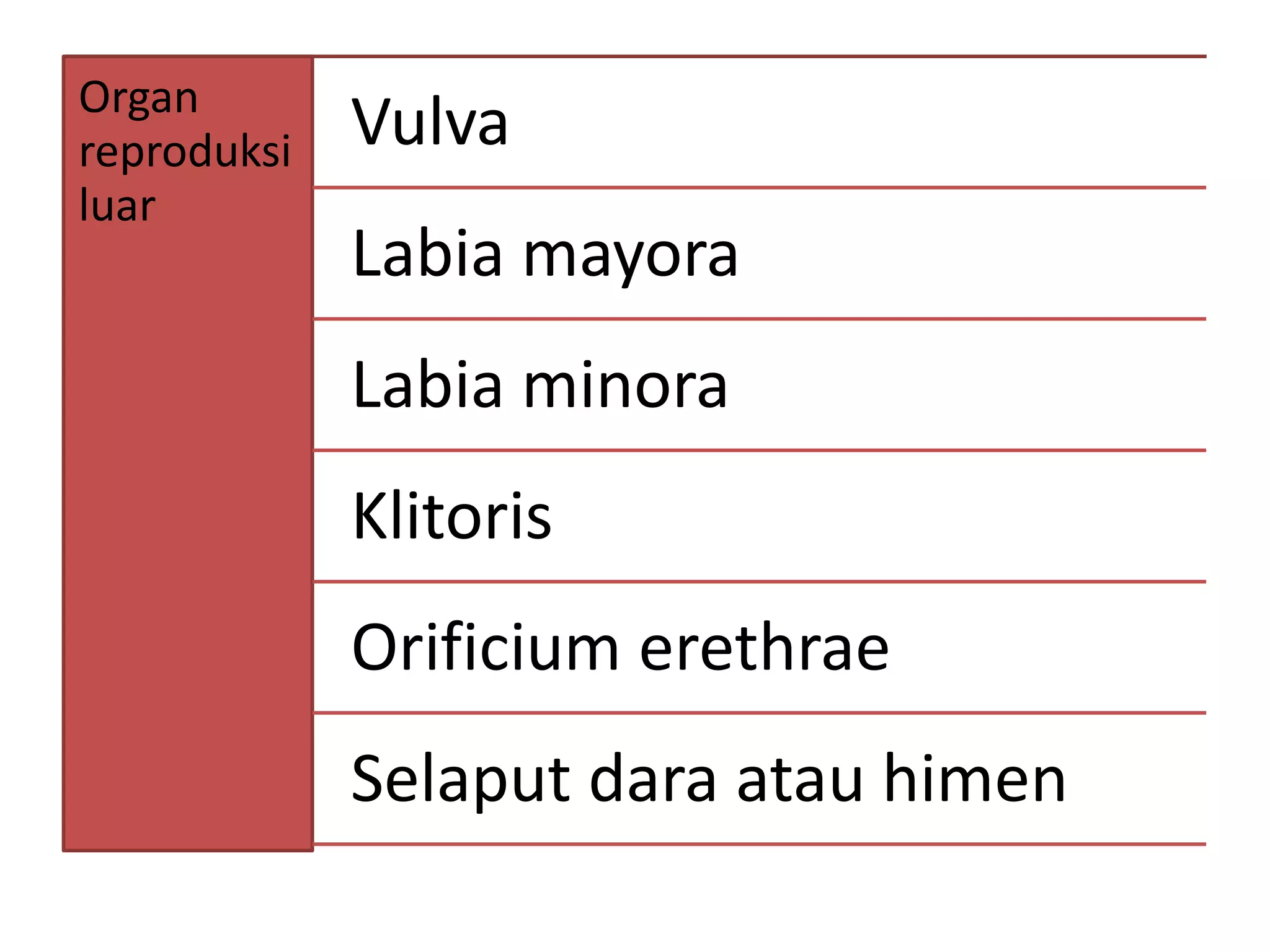 Yetuk ayollar yosh yigitlarga jinsiy aloqa haqida orgatishadi