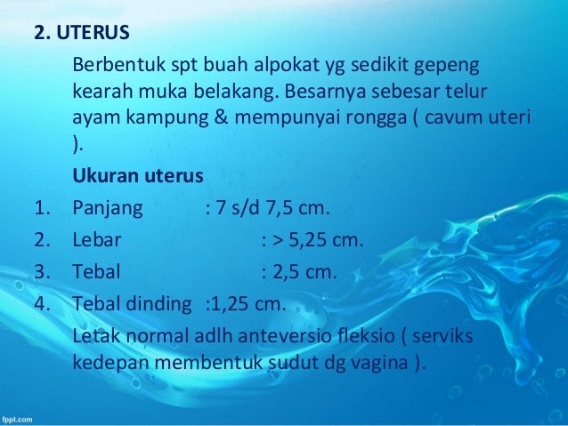 Alat reproduksi wanita