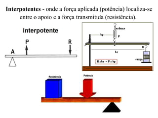 Interpotentes - onde a força aplicada (potência) localiza-se 
entre o apoio e a força transmitida (resistência). 
 