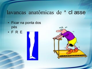 Alavancas anatômicas de 2ª cl asse
• Ficar na ponta dos
  pés
• F R E
 