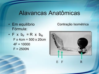 Alavancas Anatômicas
• Em equilíbrio
Fórmula:
• F x bF = R x bR
F x 4cm = 500 x 20cm
4F = 10000
F = 2500N
RFE
Contração Isométrica
 