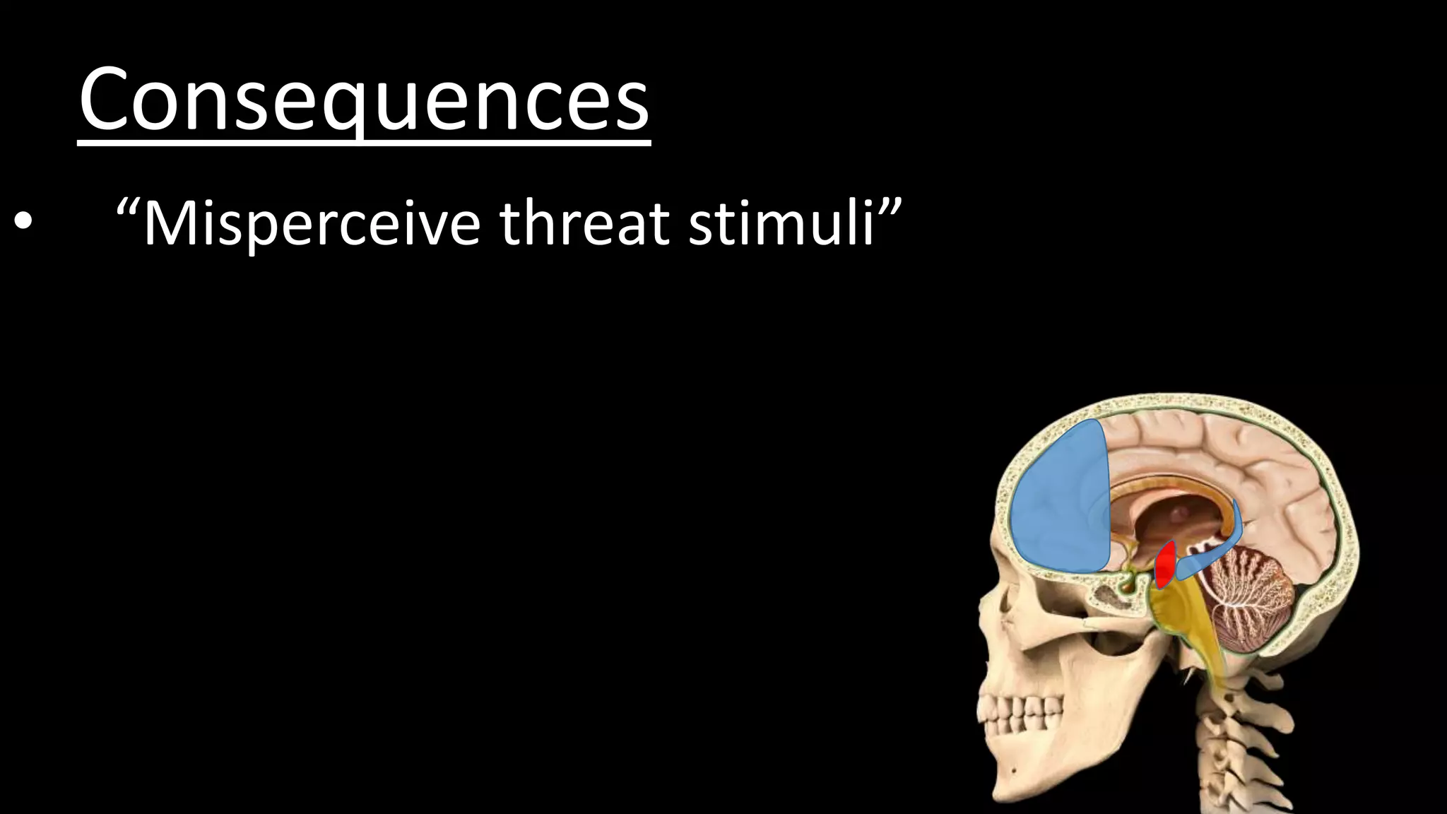 Consequences
• “Misperceive threat stimuli”
 