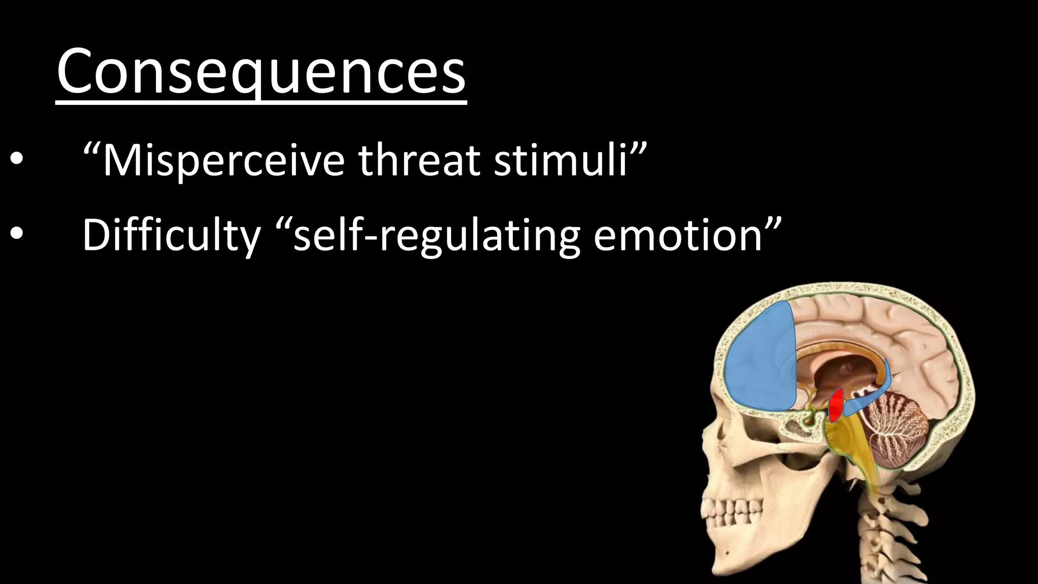 Consequences
• “Misperceive threat stimuli”
• Difficulty “self-regulating emotion”
 