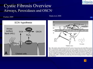 Cystic Fibrosis Overview
Airways, Peroxidases and OSCN-
                           Rada et al, 2008
Fischer, 2009




                             Childers et al, 2007
 