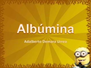 Albúmina Adalberto Demara Urrea 