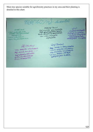 Main tree species suitable for agroforestry practices in my area and their planting is
detailed in this chart.
121
 