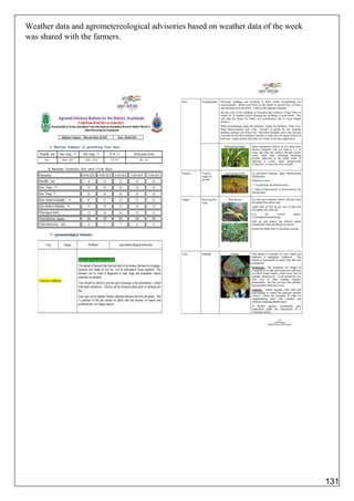 Weather data and agrometereological advisories based on weather data of the week
was shared with the farmers.
131
 