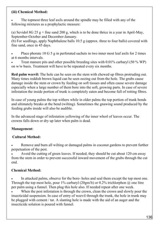 (iii) Chemical Method:
 The topmost three leaf axils around the spindle may be filled with any of the
following mixtures as a prophylactic measure:
(a) Sevidol 8G 25 g + fine sand 200 g, which is to be done thrice in a year in April-May,
September-October and December-January.
(b) For seedlings, apply Naphthalene balls 10.5 g (approx. three to four balls) covered with
fine sand, once in 45 days.
 Place phorate 10 G 5 g in perforated sachets in two inner most leaf axils for 2 times
at 6 months intervals.
 Treat manure pits and other possible breeding sites with 0.01% carbaryl (50 % WP)
on w/w basis. Treatment will have to be repeated every six months.
Red palm weevil: The hole can be seen on the stem with chewed up fibres protruding out.
Many times reddish brown liquid can be seen oozing out from the hole. The grubs cause
damage inside the stem or crown by feeding on soft tissues and often cause severe damage
especially when a large number of them bore into the soft, growing parts. In case of severe
infestation the inside portion of trunk is completely eaten and become full of rotting fibres.
In case of young palms the top withers while in older palms the top portion of trunk bends
and ultimately breaks at the bend (wilting). Sometimes the gnawing sound produced by the
feeding grubs inside will also be audible.
In the advanced stage of infestation yellowing of the inner whorl of leaves occur. The
crowns falls down or dry up later when palm is dead.
Management:
Cultural Method:
 Remove and burn all wilting or damaged palms in coconut gardens to prevent further
perpetuation of the pest.
 Avoid the cutting of green leaves. If needed, they should be cut about 120 cm away
from the stem in order to prevent successful inward movement of the grubs through the cut
end.
Chemical Method:
 In attacked palms, observe for the bore- holes and seal them except the top most one.
Through the top most hole, pour 1% carbaryl (20gm/lt) or 0.2% trichlorphon @ one litre
per palm using a funnel. Then plug this hole also. If needed repeat after one week.
 When the pest infestation is through the crown, clean the crown and slowly pour the
insecticidal suspension. In case of entry of weevil through the trunk, the hole in trunk may
be plugged with cement / tar. A slanting hole is made with the aid of an auger and the
insecticide solution is poured with funnel.
136
 