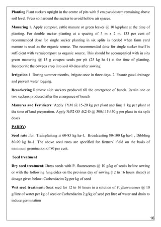 Planting Plant suckers upright in the centre of pits with 5 cm pseudostem remaining above
soil level. Press soil around the sucker to avoid hollow air spaces.
Manuring 1. Apply compost, cattle manure or green leaves @ 10 kg/plant at the time of
planting. For double sucker planting at a spacing of 3 m x 2 m, 133 per cent of
recommended dose for single sucker planting in six splits is needed when farm yard
manure is used as the organic source. The recommended dose for single sucker itself is
sufficient with vermicompost as organic source. This should be accompanied with in situ
green manuring @ 15 g cowpea seeds per pit (25 kg ha-1) at the time of planting.
Incorporate the cowpea crop into soil 40 days after sowing
Irrigation 1. During summer months, irrigate once in three days. 2. Ensure good drainage
and prevent water logging.
Desuckering Remove side suckers produced till the emergence of bunch. Retain one or
two suckers produced after the emergence of bunch
Manures and Fertilizers: Apply FYM @ 15-20 kg per plant and lime 1 kg per plant at
the time of land preparation. Apply N:P2 O5 :K2 O @ 300:115:450 g per plant in six split
doses
PADDY:
Seed rate :for Transplanting is 60-85 kg ha-1, Broadcasting 80-100 kg ha-1 , Dibbling
80-90 kg ha-1. The above seed rates are specified for farmers’ field on the basis of
minimum germination of 80 per cent.
Seed treatment
Dry seed treatment: Dress seeds with P. fluorescenes @ 10 g/kg of seeds before sowing
or with the following fungicides on the previous day of sowing (12 to 16 hours ahead) at
dosage given below: Carbendazim 2g per kg of seed
Wet seed treatment: Soak seed for 12 to 16 hours in a solution of P. fluorescenes @ 10
g/litre of water per kg of seed or Carbendazim 2 g/kg of seed per litre of water and drain to
induce germination
16
 