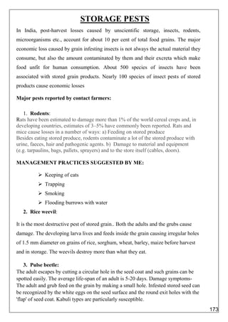 STORAGE PESTS
In India, post-harvest losses caused by unscientific storage, insects, rodents,
microorganisms etc., account for about 10 per cent of total food grains. The major
economic loss caused by grain infesting insects is not always the actual material they
consume, but also the amount contaminated by them and their excreta which make
food unfit for human consumption. About 500 species of insects have been
associated with stored grain products. Nearly 100 species of insect pests of stored
products cause economic losses
Major pests reported by contact farmers:
1. Rodents:
Rats have been estimated to damage more than 1% of the world cereal crops and, in
developing countries, estimates of 3–5% have commonly been reported. Rats and
mice cause losses in a number of ways: a) Feeding on stored produce
Besides eating stored produce, rodents contaminate a lot of the stored produce with
urine, faeces, hair and pathogenic agents. b) Damage to material and equipment
(e.g. tarpaulins, bags, pallets, sprayers) and to the store itself (cables, doors).
MANAGEMENT PRACTICES SUGGESTED BY ME:
 Keeping of cats
 Trapping
 Smoking
 Flooding burrows with water
2. Rice weevil:
It is the most destructive pest of stored grain.. Both the adults and the grubs cause
damage. The developing larva lives and feeds inside the grain causing irregular holes
of 1.5 mm diameter on grains of rice, sorghum, wheat, barley, maize before harvest
and in storage. The weevils destroy more than what they eat.
3. Pulse beetle:
The adult escapes by cutting a circular hole in the seed coat and such grains can be
spotted easily. The average life-span of an adult is 5-20 days. Damage symptoms-
The adult and grub feed on the grain by making a small hole. Infested stored seed can
be recognized by the white eggs on the seed surface and the round exit holes with the
'flap' of seed coat. Kabuli types are particularly susceptible.
173
 