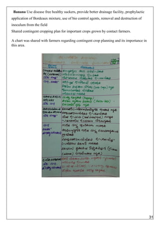 Banana Use disease free healthy suckers, provide better drainage facility, prophylactic
application of Bordeaux mixture, use of bio control agents, removal and destruction of
inoculum from the field
Shared contingent cropping plan for important crops grown by contact farmers.
A chart was shared with farmers regarding contingent crop planning and its importance in
this area.
31
 