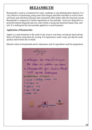 BEEJAMRUTH
Beejamruth is used as a treatment for seeds, seedlings or any planting plant material. It is
very effective in protecting young roots from fungus and other microbes as well as from
soil borne and seed-borne diseases that commonly affect plants after the monsoon season.
Beejamruth is composed of similar ingredients as Jeevamrutha - local cow dung that is a
powerful natural fungicide and cow urine which a strong anti-bacterial liquid, lime, and
soil. It is nothing but the Jeevamrutha applied as a seed treatment.
Application of Beejamrutha
Apply as a seed treatment to the seeds of any crop or coat them, mixing by hand and dry
them well before using them for sowing. For leguminous seeds/ crops, just dip the seeds
quickly and let them dry in shade.
Shared a chart on beejamruth and its importance and its ingredients used for preparation.
46
 