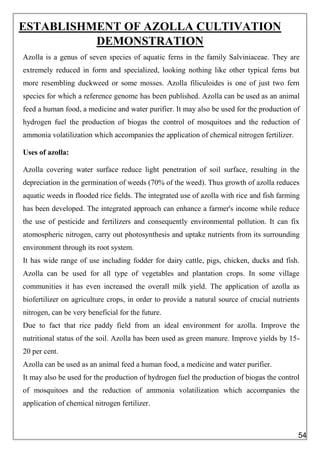 ESTABLISHMENT OF AZOLLA CULTIVATION
DEMONSTRATION
Azolla is a genus of seven species of aquatic ferns in the family Salviniaceae. They are
extremely reduced in form and specialized, looking nothing like other typical ferns but
more resembling duckweed or some mosses. Azolla filiculoides is one of just two fern
species for which a reference genome has been published. Azolla can be used as an animal
feed a human food, a medicine and water purifier. It may also be used for the production of
hydrogen fuel the production of biogas the control of mosquitoes and the reduction of
ammonia volatilization which accompanies the application of chemical nitrogen fertilizer.
Uses of azolla:
Azolla covering water surface reduce light penetration of soil surface, resulting in the
depreciation in the germination of weeds (70% of the weed). Thus growth of azolla reduces
aquatic weeds in flooded rice fields. The integrated use of azolla with rice and fish farming
has been developed. The integrated approach can enhance a farmer's income while reduce
the use of pesticide and fertilizers and consequently environmental pollution. It can fix
atomospheric nitrogen, carry out photosynthesis and uptake nutrients from its surrounding
environment through its root system.
It has wide range of use including fodder for dairy cattle, pigs, chicken, ducks and fish.
Azolla can be used for all type of vegetables and plantation crops. In some village
communities it has even increased the overall milk yield. The application of azolla as
biofertilizer on agriculture crops, in order to provide a natural source of crucial nutrients
nitrogen, can be very beneficial for the future.
Due to fact that rice paddy field from an ideal environment for azolla. Improve the
nutritional status of the soil. Azolla has been used as green manure. Improve yields by 15-
20 per cent.
Azolla can be used as an animal feed a human food, a medicine and water purifier.
It may also be used for the production of hydrogen fuel the production of biogas the control
of mosquitoes and the reduction of ammonia volatilization which accompanies the
application of chemical nitrogen fertilizer.
54
 
