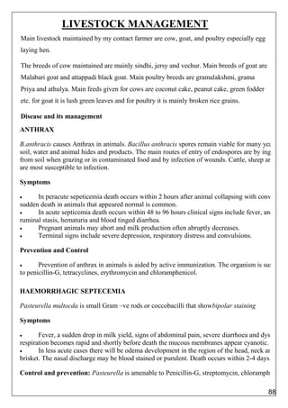 LIVESTOCK MANAGEMENT
Main livestock maintained by my contact farmer are cow, goat, and poultry especially egg
laying hen.
The breeds of cow maintained are mainly sindhi, jersy and vechur. Main breeds of goat are
Malabari goat and attappadi black goat. Main poultry breeds are gramalakshmi, grama
Priya and athulya. Main feeds given for cows are coconut cake, peanut cake, green fodder
etc. for goat it is lush green leaves and for poultry it is mainly broken rice grains.
Disease and its management
ANTHRAX
B.anthracis causes Anthrax in animals. Bacillus anthracis spores remain viable for many years in
soil, water and animal hides and products. The main routes of entry of endospores are by ingestion,
from soil when grazing or in contaminated food and by infection of wounds. Cattle, sheep and goat
are most susceptible to infection.
Symptoms
 In peracute sepeticemia death occurs within 2 hours after animal collapsing with convulsions
sudden death in animals that appeared normal is common.
 In acute septicemia death occurs within 48 to 96 hours clinical signs include fever, anorexia,
ruminal stasis, hematuria and blood tinged diarrhea.
 Pregnant animals may abort and milk production often abruptly decreases.
 Terminal signs include severe depression, respiratory distress and convulsions.
Prevention and Control
 Prevention of anthrax in animals is aided by active immunization. The organism is susceptib
to penicillin-G, tetracyclines, erythromycin and chloramphenicol.
HAEMORRHAGIC SEPTECEMIA
Pasteurella multocda is small Gram –ve rods or coccobacilli that showbipolar staining
Symptoms
 Fever, a sudden drop in milk yield, signs of abdominal pain, severe diarrhoea and dysentery,
respiration becomes rapid and shortly before death the mucous membranes appear cyanotic.
 In less acute cases there will be odema development in the region of the head, neck and
brisket. The nasal discharge may be blood stained or purulent. Death occurs within 2-4 days.
Control and prevention: Pasteurella is amenable to Penicillin-G, streptomycin, chloramphenicol,
88
 