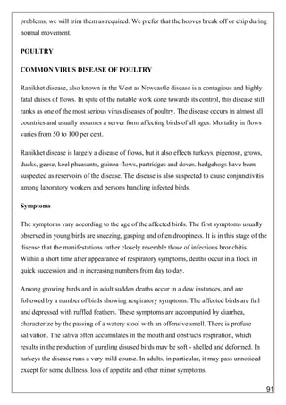problems, we will trim them as required. We prefer that the hooves break off or chip during
normal movement.
POULTRY
COMMON VIRUS DISEASE OF POULTRY
Ranikhet disease, also known in the West as Newcastle disease is a contagious and highly
fatal daises of flows. In spite of the notable work done towards its control, this disease still
ranks as one of the most serious virus diseases of poultry. The disease occurs in almost all
countries and usually assumes a server form affecting birds of all ages. Mortality in flows
varies from 50 to 100 per cent.
Ranikhet disease is largely a disease of flows, but it also effects turkeys, pigenosn, grows,
ducks, geese, koel pheasants, guinea-flows, partridges and doves. hedgehogs have been
suspected as reservoirs of the disease. The disease is also suspected to cause conjunctivitis
among laboratory workers and persons handling infected birds.
Symptoms
The symptoms vary according to the age of the affected birds. The first symptoms usually
observed in young birds are sneezing, gasping and often droopiness. It is in this stage of the
disease that the manifestations rather closely resemble those of infections bronchitis.
Within a short time after appearance of respiratory symptoms, deaths occur in a flock in
quick succession and in increasing numbers from day to day.
Among growing birds and in adult sudden deaths occur in a dew instances, and are
followed by a number of birds showing respiratory symptoms. The affected birds are full
and depressed with ruffled feathers. These symptoms are accompanied by diarrhea,
characterize by the passing of a watery stool with an offensive smell. There is profuse
salivation. The saliva often accumulates in the mouth and obstructs respiration, which
results in the production of gurgling disused birds may be soft - shelled and deformed. In
turkeys the disease runs a very mild course. In adults, in particular, it may pass unnoticed
except for some dullness, loss of appetite and other minor symptoms.
91
 