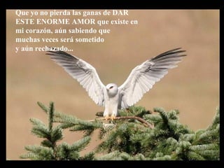 Que yo no pierda las ganas de DAR
ESTE ENORME AMOR que existe en
mi corazón, aún sabiendo que
muchas veces será sometido
y aún rechazado...
 