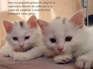 Que un pequeño grano de alegría es
esperanza dentro de cada uno y es
capaz de cambiar y transformar
cualquier cosa, pues...
 
