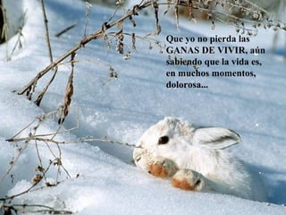 Que yo no pierda las
GANAS DE VIVIR, aún
sabiendo que la vida es,
en muchos momentos,
dolorosa...
 