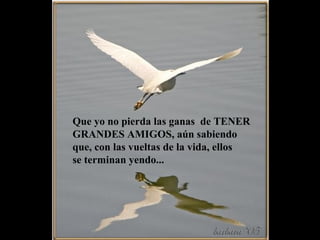 Que yo no pierda las ganas de TENER
GRANDES AMIGOS, aún sabiendo
que, con las vueltas de la vida, ellos
se terminan yendo...
 