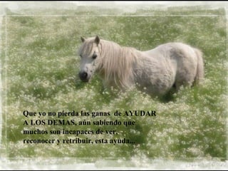 Que yo no pierda las ganas de AYUDAR
A LOS DEMAS, aún sabiendo que
muchos son incapaces de ver,
reconocer y retribuir, esta ayuda...
 