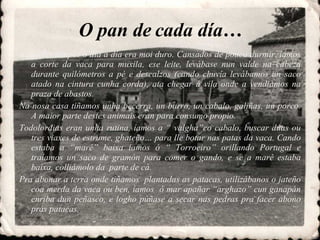 O pan de cada día… Naqueles tempos o día a día era moi duro. Cansados de pouco durmir, íamos a corte da vaca para muxila, ese leite, levábase nun valde na cabeza durante quilómetros a pé e descalzos (cando chuvía levábamos un saco atado na cintura cunha corda), ata chegar á vila onde a vendiamos na praza de abastos. Na nosa casa tiñamos unha becerra, un burro, un cabalo, galiñas, un porco. A maior parte destes animais eran para consumo propio. Todolordias eran unha rutina, íamos a “ valgha”co cabalo, buscar dúas ou tres viaxes de estrume, ghateño… para lle botar nas patas da vaca. Cando estaba a “maré” baixa iamos ó “ Torroeiro” orillando Portugal e traíamos un saco de gramón para comer o gando, e se a maré estaba baixa, colliámolo da  parte de cá. Pra abonar a terra onde tiñamos  plantadas as patacas, utilizábanos o jateño coa merda da vaca ou ben, íamos  ó mar apañar “arghazo” cun ganapán enriba dun peñasco, e logho púñase a secar nas pedras pra facer abono prás patacas. 