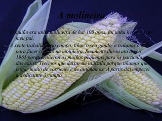 A molineira O muíño era unha molineira de hai 100 anos, foi unha herencia do meu pai. A xente traballaba no campo, tiñan o seu gando, e traíanos o millo para facer o millo na molineira. Soamente durou ata o ano 1965 porque viñeron os muíños pequenos para os particulares das casas. Tivemos que deixar de utilizala porque tiñamos que pagar muito de corriente e de autónomos. A partir daí empecei a dedicarme ó campo. 