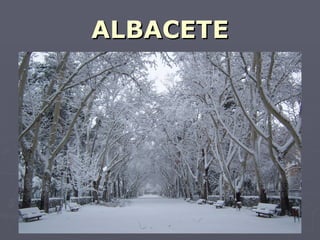 ALBACETE
 