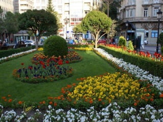 Albacete, majed khalil