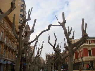 Albacete, majed khalil