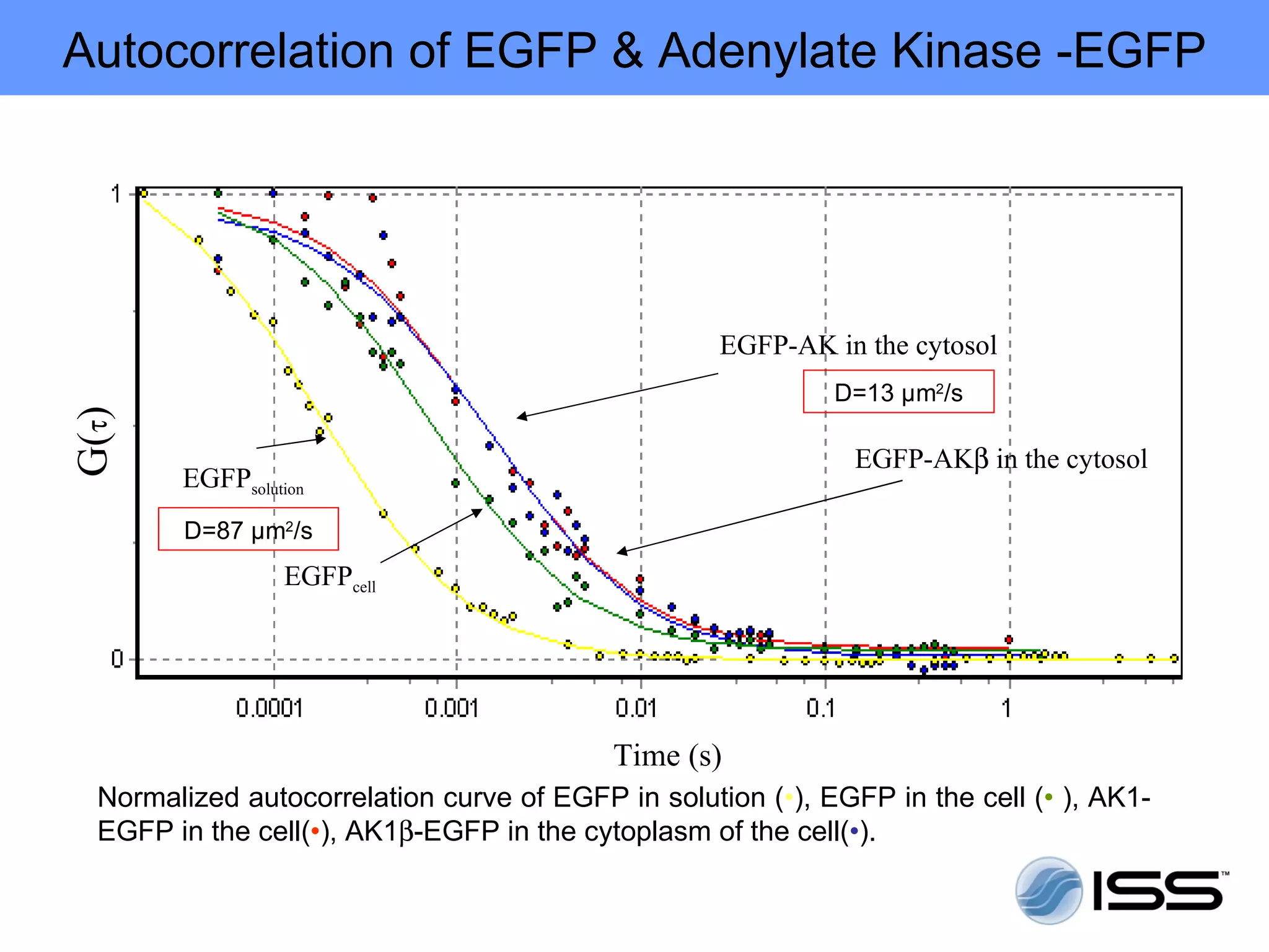Autocorrelation of EGFP & Adenylate Kinase -EGFP




                                                    EGFP-AK in the cytosol
                                                             D=13 µm2/s
G(τ)




                                                               EGFP-AKβ in the cytosol
        EGFPsolution
        D=87 µm2/s
                  EGFPcell




                                           Time (s)
  Normalized autocorrelation curve of EGFP in solution (•), EGFP in the cell (• ), AK1-
  EGFP in the cell(•), AK1β-EGFP in the cytoplasm of the cell(•).
 