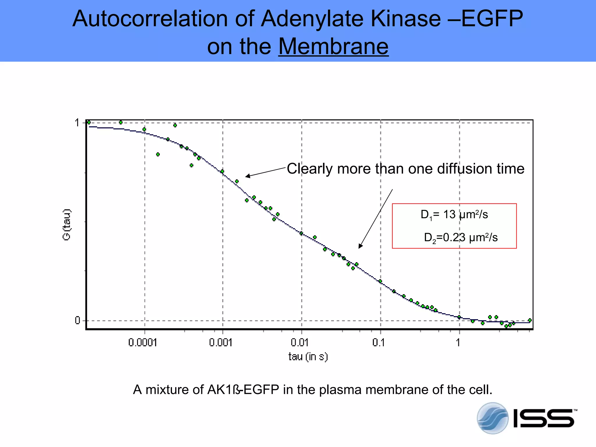 Autocorrelation of Adenylate Kinase –EGFP
             on the Membrane




                             Clearly more than one diffusion time

                                                   D1= 13 µm2/s
                                                   D2=0.23 µm2/s




     A mixture of AK1ß-EGFP in the plasma membrane of the cell.
 