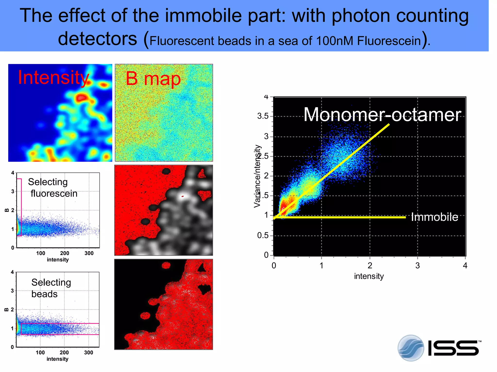 The effect of the immobile part: with photon counting
            detectors (Fluorescent beads in a sea of 100nM Fluorescein).

        Intensity                 B map                           x= 2.00000 y= 2.00000 #pixels=   0 in=   0
                                                              4

                                                  3.5                    Monomer-octamer seri
                                                              3




                                          Variance/ntensity
                                                  2.5
    4
                                                              2
         Selecting
    3
         fluorescein                              1.5
    2
B




                                                              1                                    Immobile
    1
                                                  0.5
    0
          100        200    300
                intensity
                                                              0
                                                                  0         1           2          3           4
    4
                                                                                    intensity
         Selecting
    3
         beads
    2
B




    1


    0
          100        200    300
                intensity
 