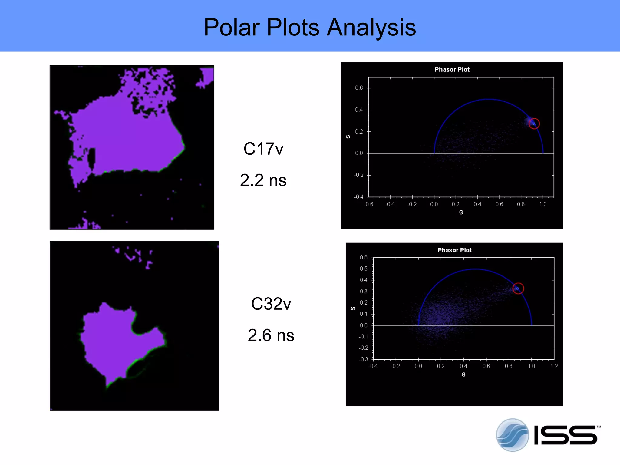 Polar Plots Analysis



   C17v
   2.2 ns




    C32v
    2.6 ns
 