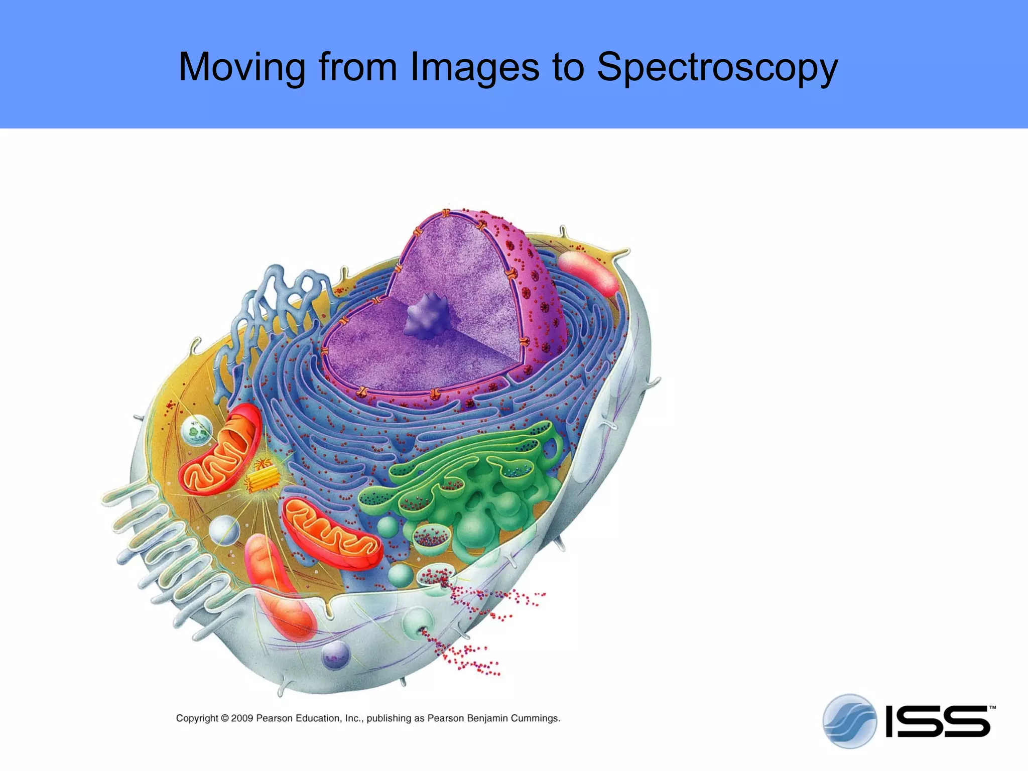 Moving from Images to Spectroscopy
 
