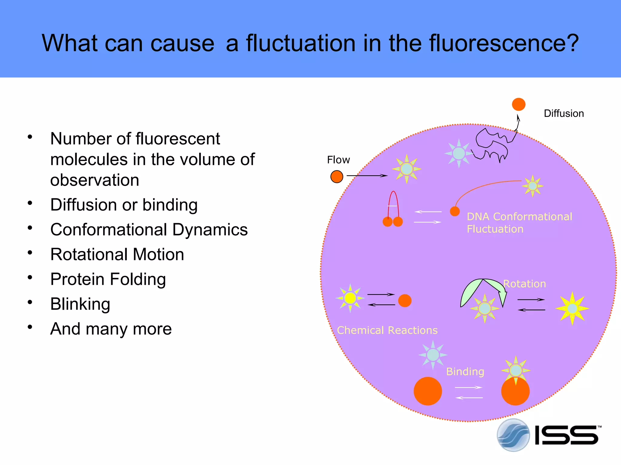 What can cause a fluctuation in the fluorescence?

                                                                        Diffusion

•   Number of fluorescent
    molecules in the volume of   Flow

    observation
•   Diffusion or binding
                                                          DNA Conformational
•   Conformational Dynamics                               Fluctuation

•   Rotational Motion
•   Protein Folding                                              Rotation

•   Blinking
•   And many more                 Chemical Reactions



                                                       Binding
 