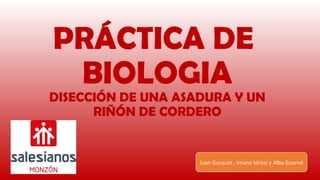 PRÁCTICA DE
BIOLOGIA
DISECCIÓN DE UNA ASADURA Y UN
RIÑÓN DE CORDERO
Juan Gasquet , Imane Idrissi y Alba Guarné
 