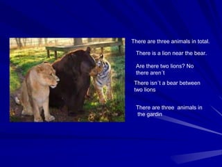 There are three animals in total.
There is a lion near the bear.
Are there two lions? No
there aren´t
There isn´t a bear between
two lions
There are three animals in
the gardin
 