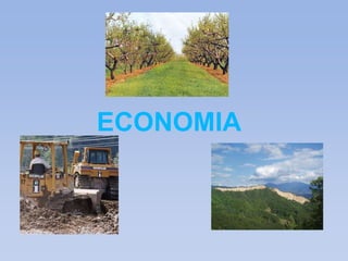 ECONOMIA 
 