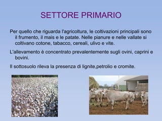 SETTORE PRIMARIO 
Per quello che riguarda l'agricoltura, le coltivazioni principali sono 
il frumento, il mais e le patate. Nelle pianure e nelle vallate si 
coltivano cotone, tabacco, cereali, ulivo e vite. 
L'allevamento è concentrato prevalentemente sugli ovini, caprini e 
bovini. 
Il sottosuolo rileva la presenza di lignite,petrolio e cromite. 
 